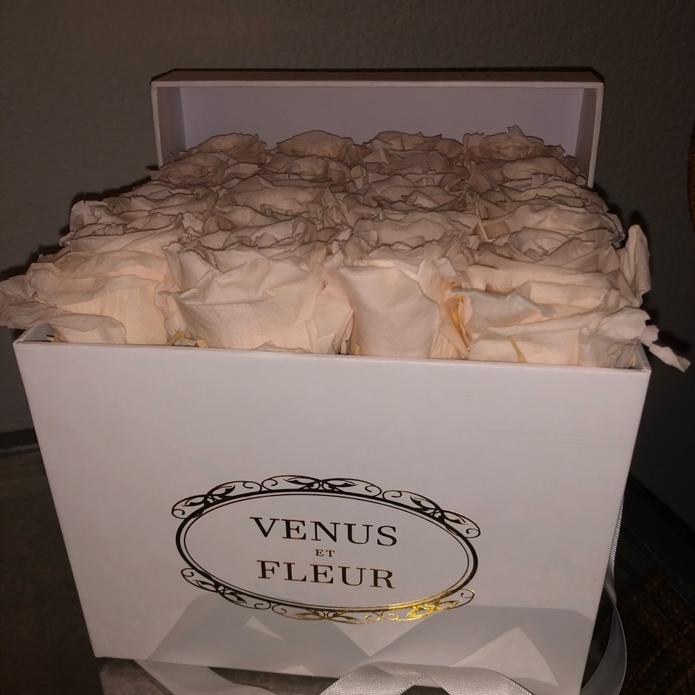 Venus Et Fleur Flowers